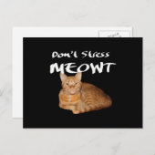 Stress Meowt nicht - Orange Cat Stress Me out Postkarte (Vorne/Hinten)