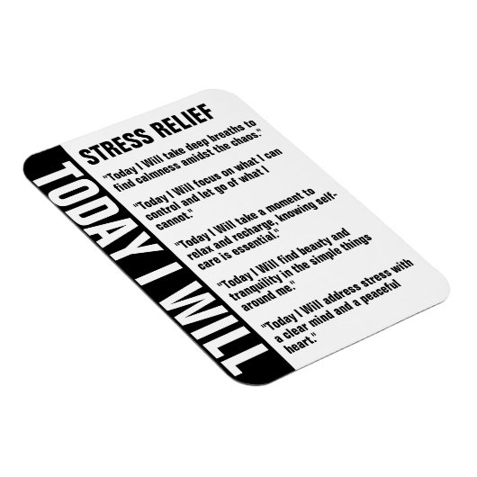 Stress Relief Goals Erinnerung anpassen Magnet (Rechte Seite)