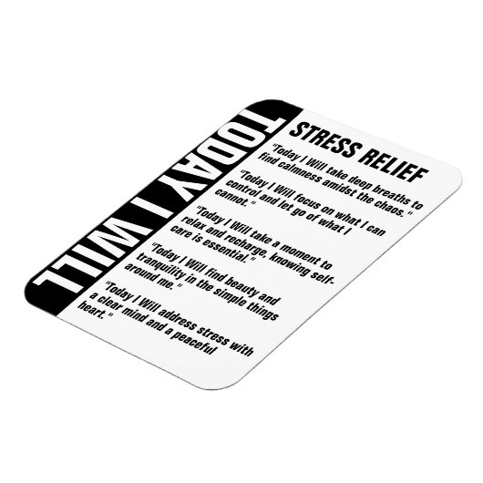 Stress Relief Goals Erinnerung anpassen Magnet (Linke Seite)