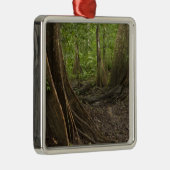 Stress Roots. Regenwald, Mapari Rupuni, 2 Silbernes Ornament (Rechts)