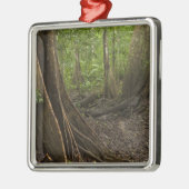 Stress Roots. Regenwald, Mapari Rupuni, 2 Silbernes Ornament (Links)