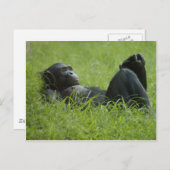 Stresssanierung Postkarte (Vorne/Hinten)