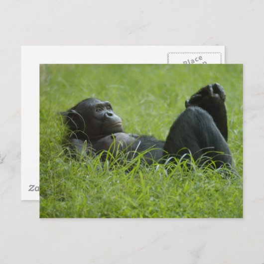 Stresssanierung Postkarte (Vorne/Hinten)