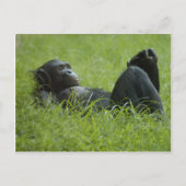 Stresssanierung Postkarte (Vorderseite)