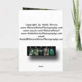 Stretch-Grußkarte Karte (Rückseite)