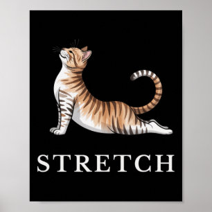 Stretch-Katzen-Yoga-Shirt Ruhig Lance Süße Tier Yo Poster