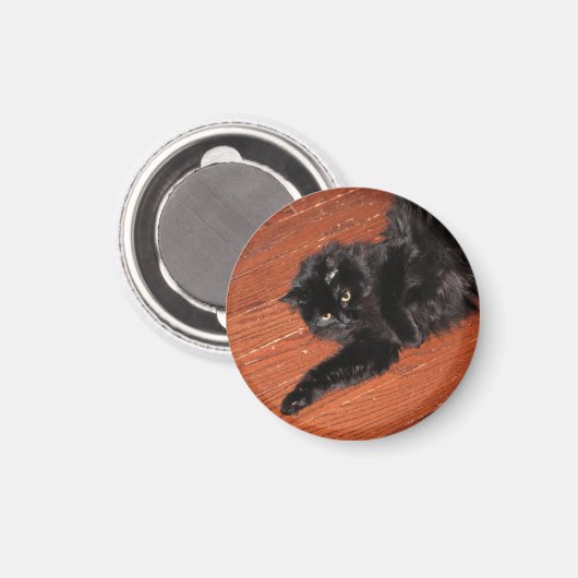 Stretch Magnet (Vorderseite/Rückseite)