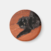 Stretch Magnet (Vorne)