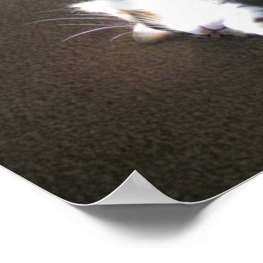 Stretch.... Poster (Ecke)