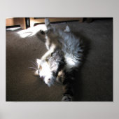 Stretch.... Poster (Vorne)