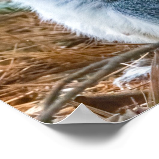 Stretch  poster (Ecke)