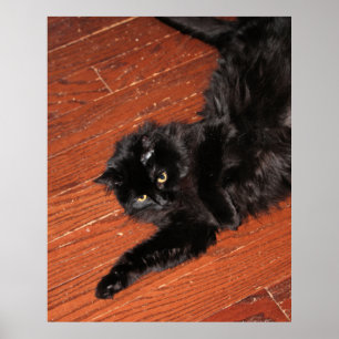 Stretch Poster
