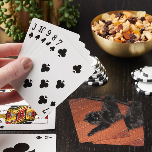 Stretch Spielkarten (In Situ)