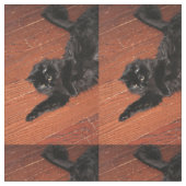Stretch Stoff (Nahaufnahme)