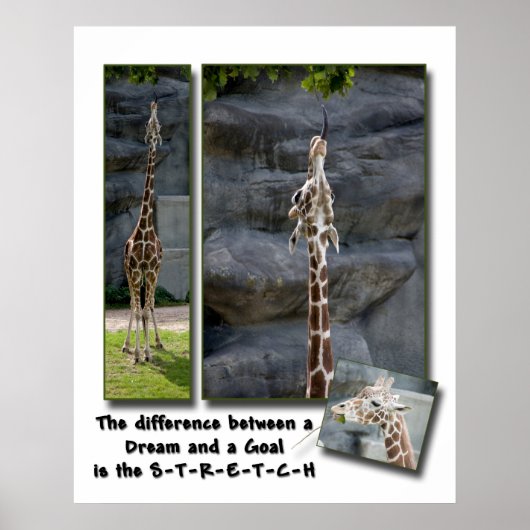 Stretch-Yourself-Poster Poster (Vorne)