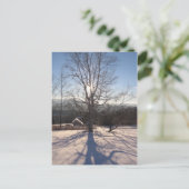 Stretchbirke Postkarte (Stehend Vorderseite)