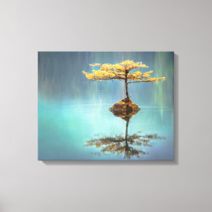 STRETCHED CANVAS PRINT : BAUM AUF EINER INSEL LEINWANDDRUCK