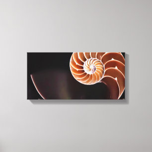 Stretched Canvas Print - Cooper Fibonacci Sequence Leinwanddruck