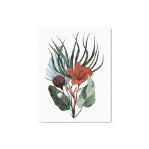Stretched Canvas Print Elegante Vintag Botanische