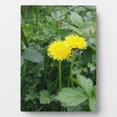 Stretched Canvas Print Fotoplatte (Vorderseite)