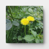 Stretched Canvas Print Fotoplatte (Vorderseite)