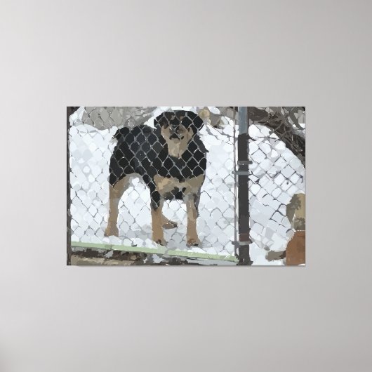 Stretched Canvas Print Hund hinter Zaun Leinwanddruck (Vorderseite)