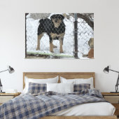Stretched Canvas Print Hund hinter Zaun Leinwanddruck (Insitu (Schlafzimmer))