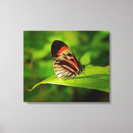 Stretched Canvas Print Leinwanddruck
