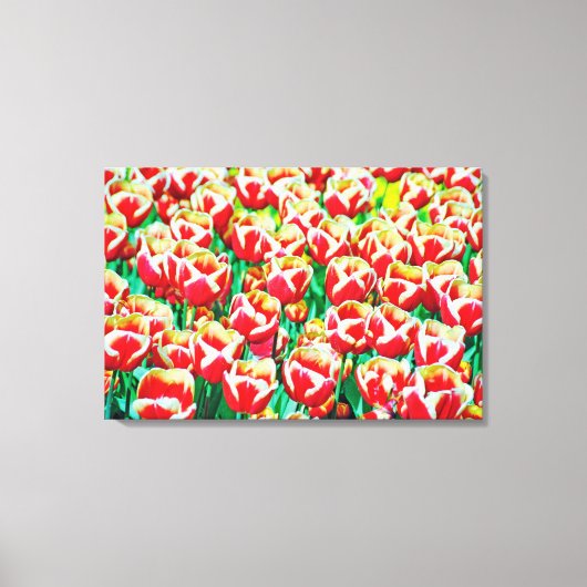 Stretched Canvas Print Leinwanddruck (Vorderseite)