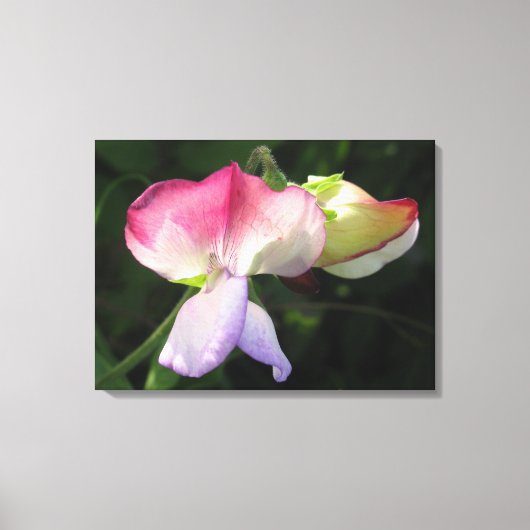 Stretched Canvas Print Leinwanddruck (Vorderseite)