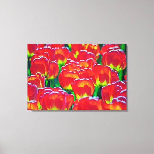 Stretched Canvas Print Leinwanddruck (Vorderseite)