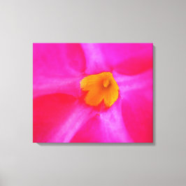 Stretched Canvas Print Leinwanddruck