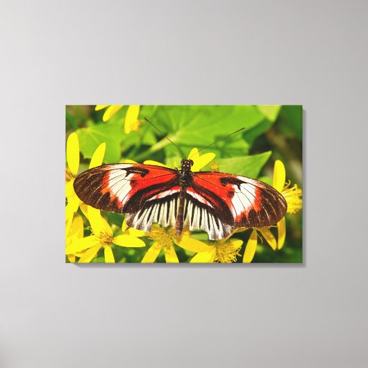 Stretched Canvas Print Leinwanddruck (Vorderseite)