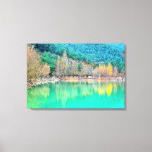 Stretched Canvas Print