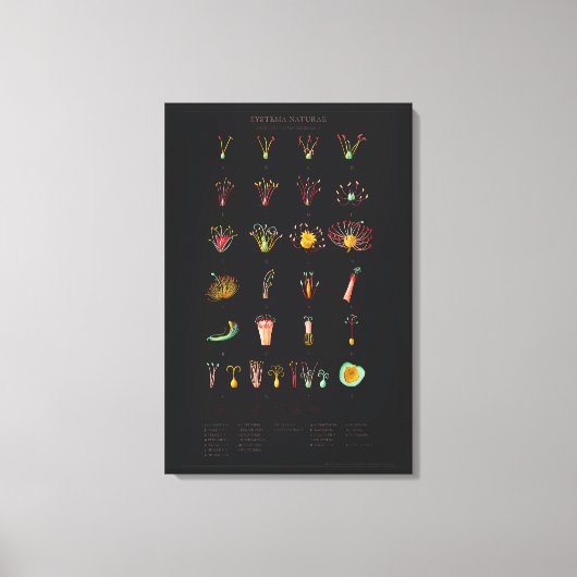 Stretched Canvas Print Leinwanddruck (Vorderseite)