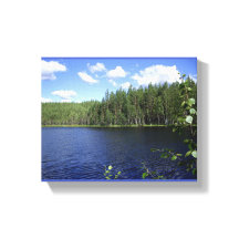 Stretched Canvas Print