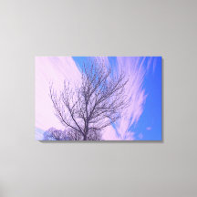 Stretched Canvas Print