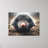 Stretched Canvas Print Leinwanddruck (Vorderseite)