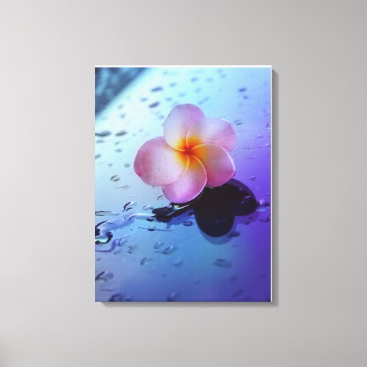 Stretched Canvas Print Leinwanddruck (Vorderseite)