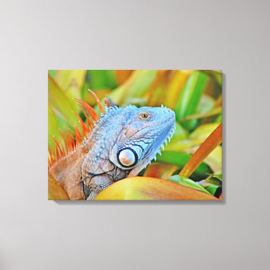 Stretched Canvas Print Leinwanddruck (Vorderseite)