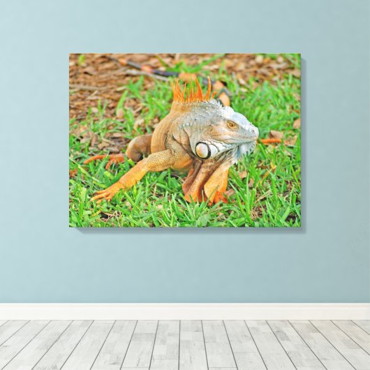 Stretched Canvas Print Leinwanddruck (Insitu (Holzboden))