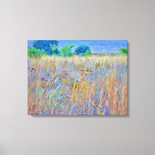 Stretched Canvas Print Leinwanddruck (Vorderseite)
