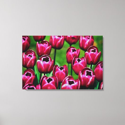 Stretched Canvas Print Leinwanddruck (Vorderseite)