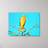 Stretched Canvas Print Leinwanddruck (Vorderseite)