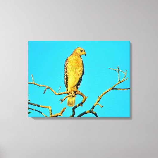 Stretched Canvas Print Leinwanddruck (Vorderseite)