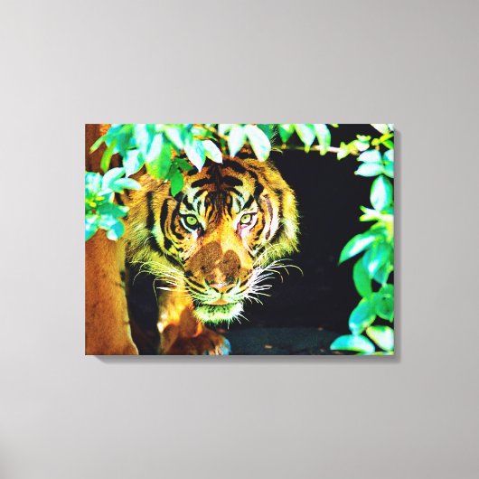 Stretched Canvas Print Leinwanddruck (Vorderseite)
