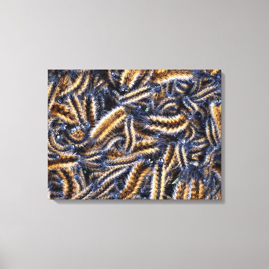 Stretched Canvas Print Leinwanddruck (Vorderseite)