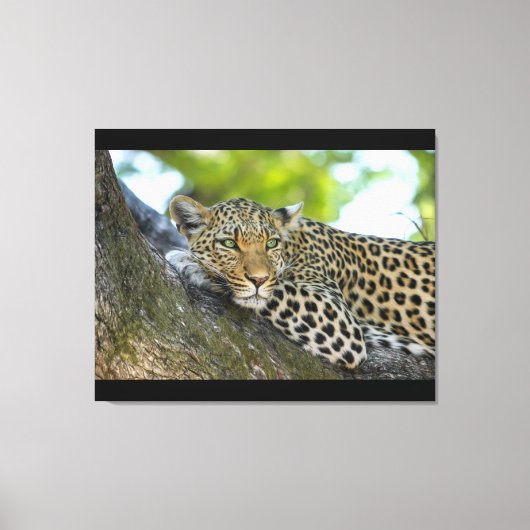 Stretched Canvas Print Leinwanddruck (Vorderseite)