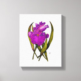 Stretched Canvas Print Leinwanddruck