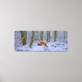 Stretched Canvas Print Leinwanddruck (Vorderseite)